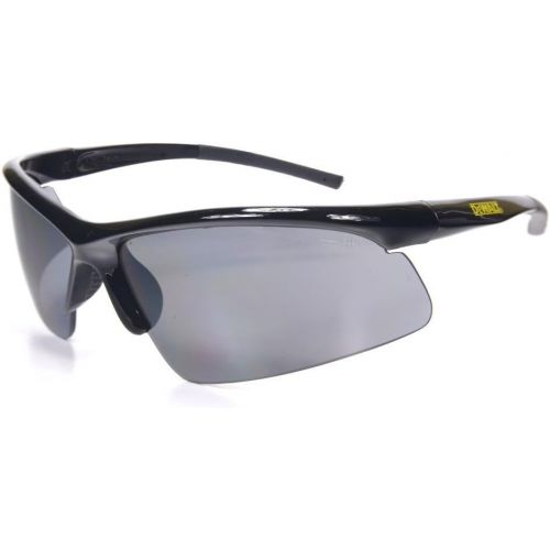  Dewalt DPG51-2C Radius Smoke 10 Base Curve Lens Protective Safety Glasses,Blacks