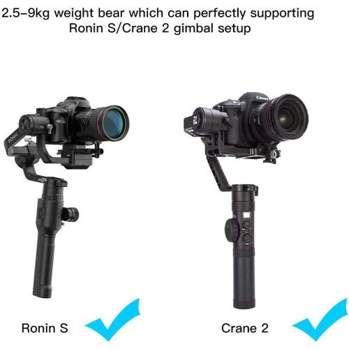  DF DIGITALFOTO Thanos Pro Video Camera Gimbal Support Vest Stabilizer System with Adapter Arm 5.5-20 lbs Compatible with Ronin S Zhiyun Crane 2 PK Tiffen Steadimate-S