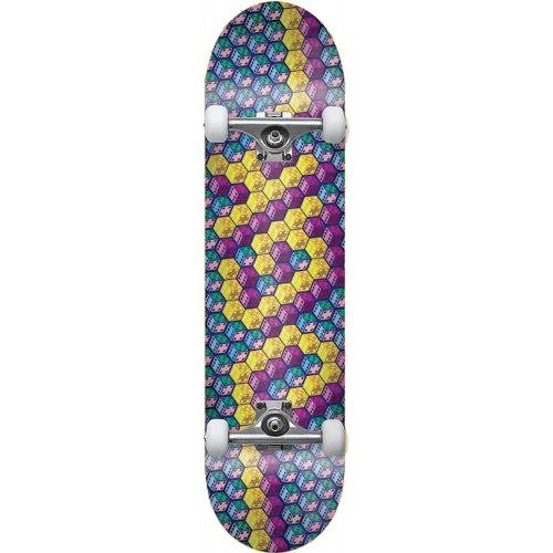  DGK Skateboards - Complete Skateboards - Ready to Ride Right Out of The Box