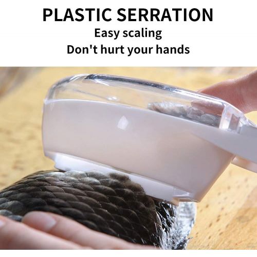  [아마존베스트]DI QIU REN Fish Scaler Brush With Lid-2Pieces Easily Remove Fish Scales-Unique Handle Design，Fast Remove Fish Skin Graters Cleaning Peeler Scaler Scraper