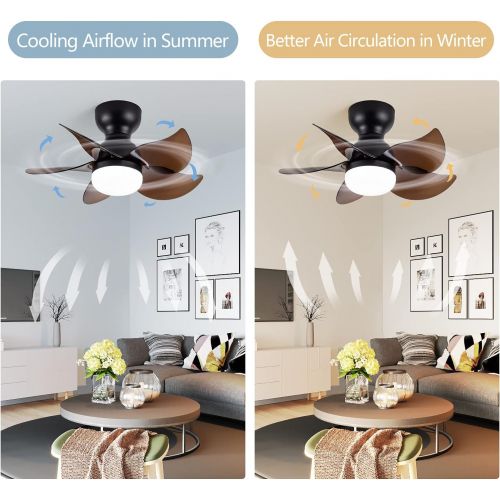  DIDER 24 Flush Mount Ceiling Fan with Lights and Remote Control, 5 Blades, Low Profile Ceiling Fan for Indoor and Outdoor Space