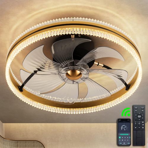  DIDER 20 Bladeless Smart Ceiling Fan with Lights Remote Control, APP Control, Enclosed Low Profile Ceiling Fan with Light for Kitchen, Bedroom Fan, Modern Flush Mount Ceiling Fan I