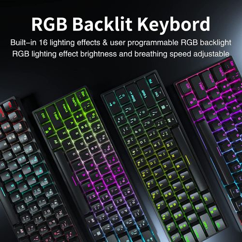  DIERYA DK61E 60% Mechanical Gaming Keyboard, RGB Backlit Wired PBT Keycap Waterproof Type-C Mini Compact 61 Keys Computer Keyboard with Full Keys Programmable (Gateron Optical Brow