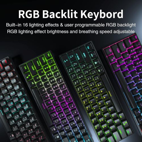  DIERYA DK61E 60% Mechanical Gaming Keyboard, RGB Backlit Wired PBT Keycap Waterproof Type-C Mini Compact 61 Keys Computer Keyboard with Full Keys Programmable (Gateron Optical Blue