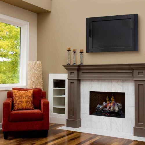  DIMPLEX DLGM29 Opti-Myst Open Hearth Fireplace Insert with Faux Logs Bed, Alabaster