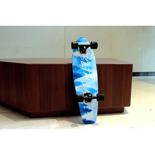 DINBIN Cruiser Skateboard Complete Highly 7 Layer Canadian Maple Wood 28 Inch Cruiser Boards for Kids Teens and Adult