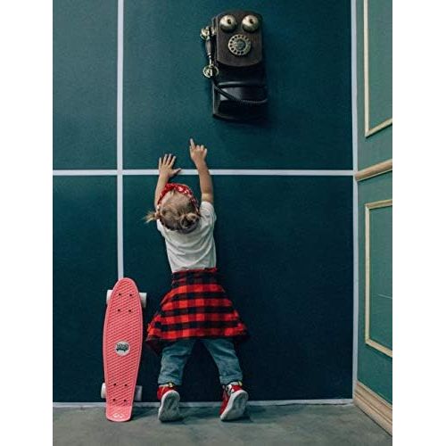  DINBIN Complete Highly Flexible Plastic Cruiser Board Mini 22 Inch Skateboards for Beginners or Professional with High Rebound PU Wheels