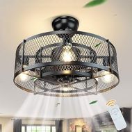 DINGLILIGHTING DLLT 20In Caged Ceiling Fan with Light, 3 Speeds Adjustable, Ceiling Fan Lights with Remote, Industrial Ceiling Fans for Living Room, Bedroom, Kitchen, 4xE26 Bulb Base, Black (No B