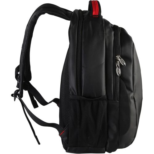  Diophy 1312 BK Backpack for Laptops Up to 17