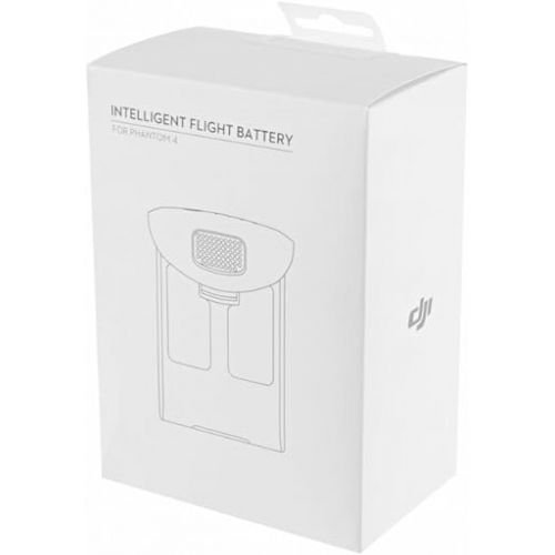 디제이아이 DJI Phantom 4 Series Intelligent Flight Battery High Capacity 5870mAh, 2 Pack for DJI Phantom 4, 4 Advanced, 4 Pro, 4 Pro V2.0, 4 RTK-OEM