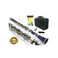DLuca 200 Series Purple ABS 17 Keys Bb Clarinet with Double Barrel, Canvas Case, Cleaning Kit and 1 Year Manufacturer Warranty