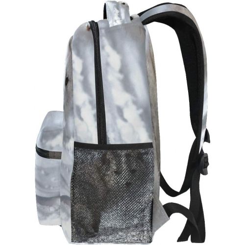  DOENR School Backpack Arctic Fox Teens Girls Boys Schoolbag