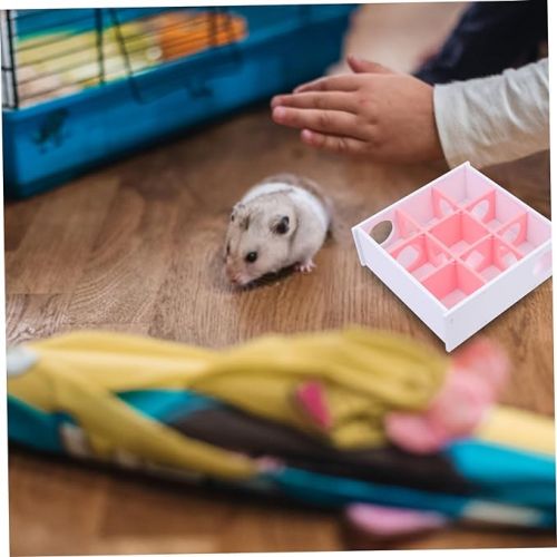  DOITOOL Hamster Maze Tubes and Tunnels Pet Plaything Cage External Pipes Funny Labyrinth Toy Hamster Supplies Hamster Labyrinth Puzzle Toy Small Animal House Maze Pet Toy Tableware Acrylic