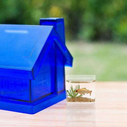  DOITOOL 2Pcs Miniature Fish Bowl Dollhouse Fish Tank 1: 12 Miniature Glass Goldfish Tank Dollhouse Desktop Ornaments