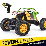 DOUBLE E RC Cars 1:18 Dual Motors Rechargeable Remote Control Truck 4WD Off Road RC Truck Rock Crawler
