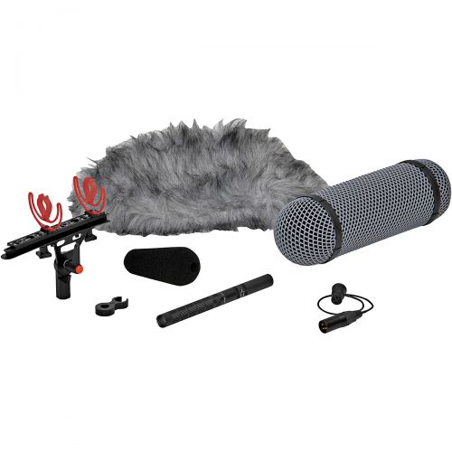  DPA Microphones},description:DPA Microphones has joined forces with Rycote to develop the d:dicate 4017B-R Shotgun Microphone with Rycote Windshield Solution. The strong suspension