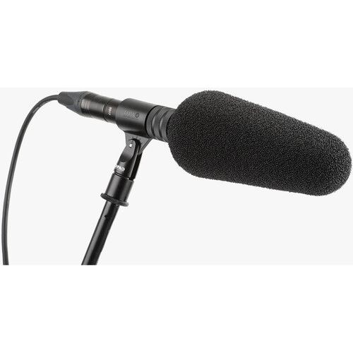 DPA Microphones 2017 Supercardioid Shotgun Microphone