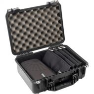 DPA Microphones Core 4099 Classic Touring Kit with 4 Mics and Accessories (Loud SPL)