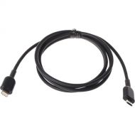 DPA Microphones d:vice Micro-USB-B to Lightning Cable for d:vice Digital Audio Interface (39.4