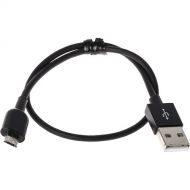 DPA Microphones d:vice USB-B to PC/Mac USB-A Cable for d:vice Digital Audio Interface (12