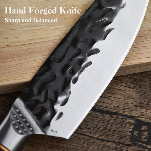  DRAGON RIOT Chef Knife Professional Kitchen Cooking Knives High Carbon Steel Japanese Chefs Knife Meat and Vegetable Cooking Knife for Home Restaurant (5.0)