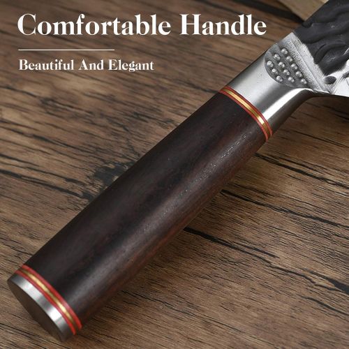  DRAGON RIOT Chef Knife Professional Kitchen Cooking Knives High Carbon Steel Japanese Chefs Knife Meat and Vegetable Cooking Knife for Home Restaurant (5.0)