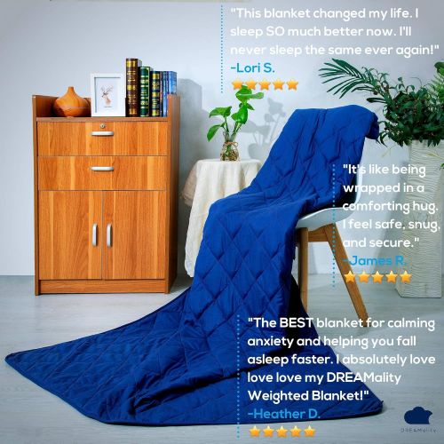  DREAMality Weighted Blanket 20 lbs 60x80 with Integrated Cotton Weighted Blanket Cover - Heavy Weighted Blanket for Kids Adult Full Queen Twin Size - Premium Cooling Weighted Blank