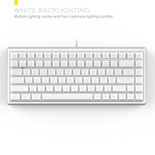  DREVO Gramr 84 Key Backlit USB Wired Tenkeyless Mechanical Gaming Keyboard Brown Switch-White