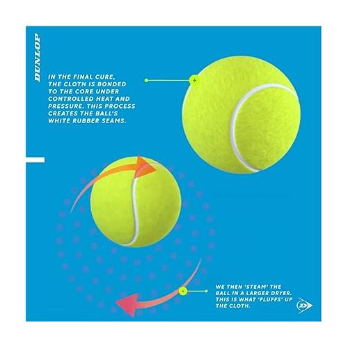  DUNLOP ATP Championship Regular Duty Tennis Balls, Case