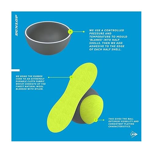  DUNLOP ATP Championship Regular Duty Tennis Balls, Case