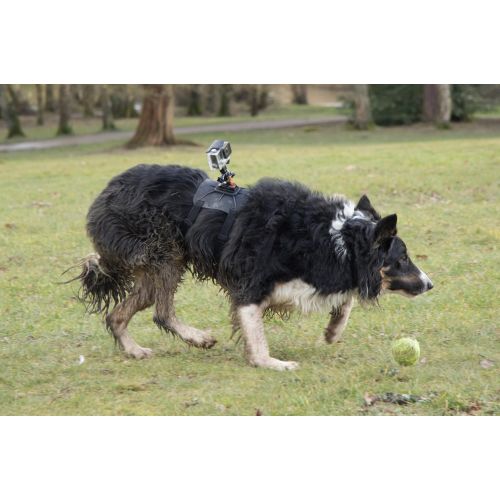  DURAGADGET DuraGadget Hundegeschirr-Halterung (Ruecken) fuer Ihre Rollei Actioncam 550 Touch | 630 | 625 | 610 | 530 | 525 | 510 | 426 | 416 | 420 | 410 | 400 | 300