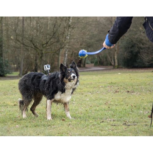  DURAGADGET DuraGadget Hundegeschirr-Halterung (Ruecken) fuer Ihre Rollei Actioncam 550 Touch | 630 | 625 | 610 | 530 | 525 | 510 | 426 | 416 | 420 | 410 | 400 | 300