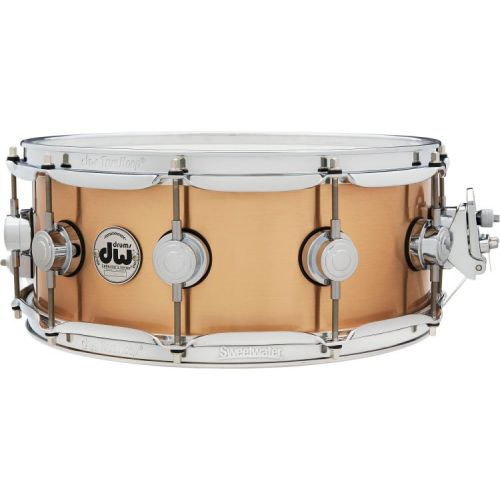  DW Collector's Series Bronze Snare Drum - 5.5 x 14-inch - Brushed