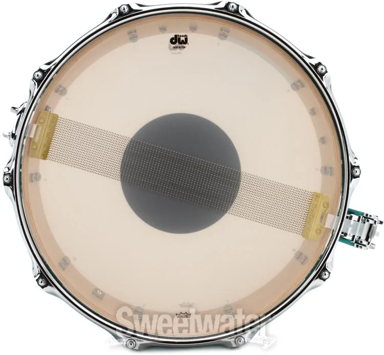  DW Performance Series Snare Drum - 8 x 14-inch - Hard Satin Surf - Sweetwater Exclusive