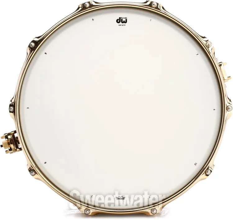  DW Collector's Series Brass 8 x 14-inch Snare Drum - Black Nickel with Gold Hardware