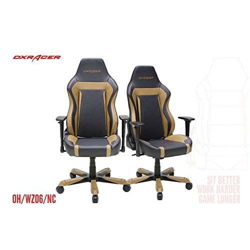 DXRacer WZ06 Black Racing Bucket Seat Office Chair Computer Chair Ergonomic with Lumbar Support Pillows (Black/Coffee)