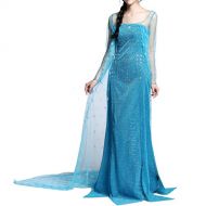 Daily Proposal AE3 Adult Elsa Snowflake Fairy Dress Halloween Costume Cosplay S-XXL USA