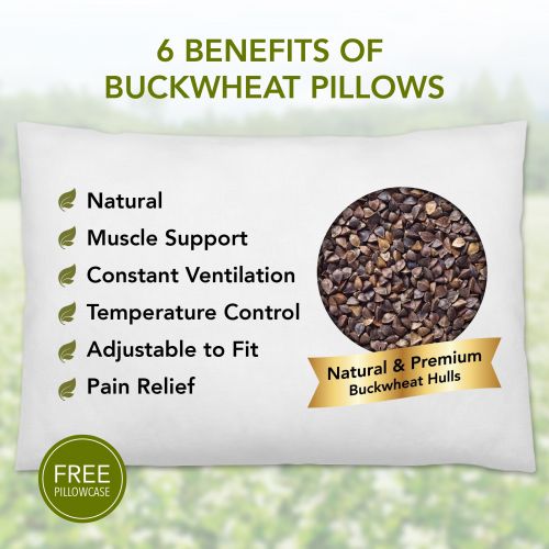 다이와 Daiwa Felicity Natural Premium Buckwheat Sobakawa Pillow