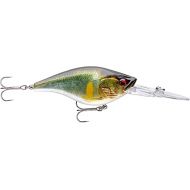 Daiwa FLOATING LURE PROREX CRANKBAIT DR - 8CM - 24, per unit, Live Ayu, 8, Floating, 2.5-3