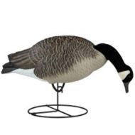 Dakota Decoy 19200 Waterfowl Hunting Signature Series Feeder Geese (6 Pack)