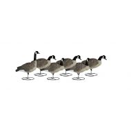 NEW Dakota Decoy 19750 Signature Series Canada Goose Flocked Upright 6 Pack