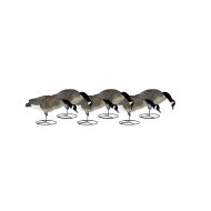 NEW Dakota Decoy 19300 Signature Series Canada Goose Flocked Feeder 6 Pack