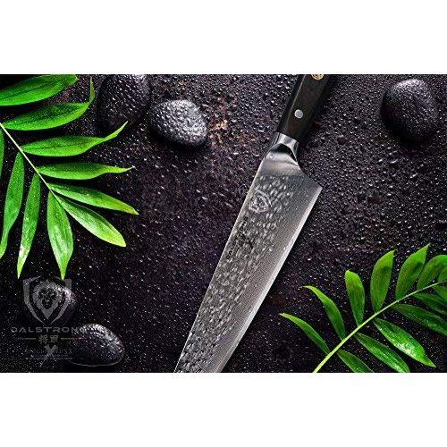  Dalstrong Kuechenmeistermesser - Shogun Series X Professional Gyuto  Japanisch - AUS-10V  Vakuumbehandelt  Chef Knife (Lang) - 26 cm  Hammergeschlagen  Gross - 67-Schichten  Mi