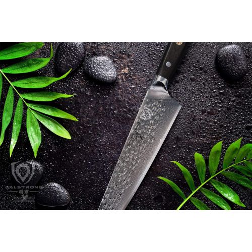  Dalstrong Kuechenmeistermesser - Shogun Series X Professional Gyuto  Japanisch - AUS-10V  Vakuumbehandelt  Chef Knife (Lang) - 26 cm  Hammergeschlagen  Gross - 67-Schichten  Mi