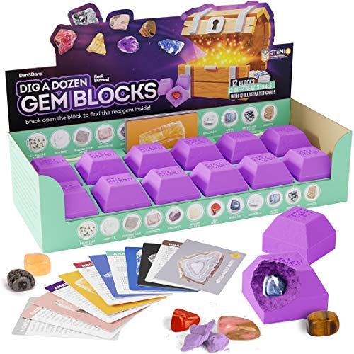  Dan&Darci Dig a Dozen Gem Blocks - Break Open 12 Unique Gemstone Blocks and Discover 12 Real Precious Stones - Archaeology Geology Science Gift - Mineral & Rock Collection