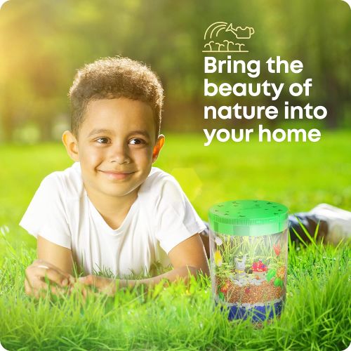  [아마존베스트]Dan&Darci Light-up Terrarium Kit for Kids with LED Light on Lid - Create Your Own Customized Mini Garden in a Jar That Glows at Night - Science Kits for Boys & Girls - Gardening Gifts for Ki