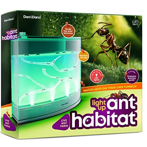  [아마존베스트]Dan&Darci Light-up Ant Habitat for Kids  LED Ant Farm for Live Ants (not included) - Watch Ants Dig Their Own Ant House Tunnels - Ants Colony Toy with Nutrient Rich Gel - Science Toys Kit G