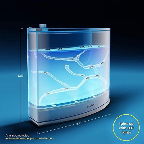  [아마존베스트]Dan&Darci Light-up Ant Habitat for Kids  LED Ant Farm for Live Ants (not included) - Watch Ants Dig Their Own Ant House Tunnels - Ants Colony Toy with Nutrient Rich Gel - Science Toys Kit G