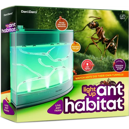  [아마존베스트]Dan&Darci Light-up Ant Habitat for Kids  LED Ant Farm for Live Ants (not included) - Watch Ants Dig Their Own Ant House Tunnels - Ants Colony Toy with Nutrient Rich Gel - Science Toys Kit G