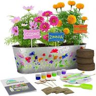 [아마존베스트]Dan&Darci Paint & Plant Flower Growing Kit - Grow Cosmos, Zinnia, Marigold Flowers : Includes Everything Needed to Paint and Grow - Great Gift for Children STEM